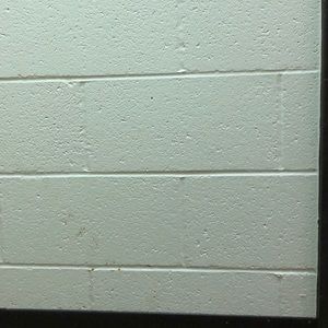 Meet your Posher, Saylor